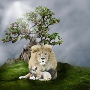 Meet your Posher, Jose